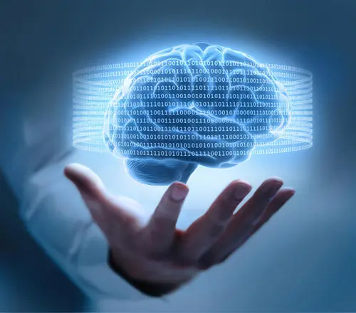 三篇Nature | 关注“脑科学与类脑研究”重大研究项目