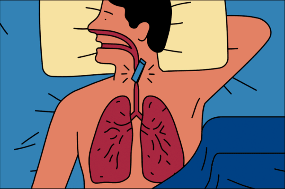 文献与应用 | “我们”服务于睡眠呼吸暂停综合征研究——间歇性高低氧培养箱